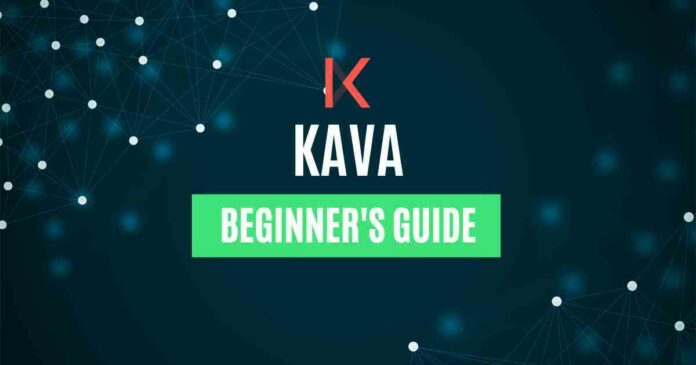 A Beginner’s Guide to KAVA
