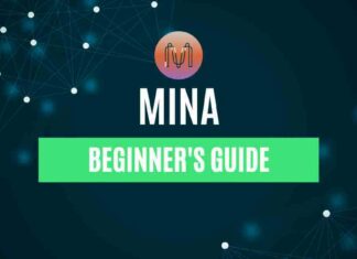 Beginner's Guide of Mina Protocol