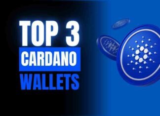 Top 3 Cardano Wallets