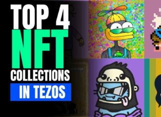 Top 4 NFT Collections in TEZOS