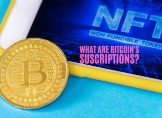 What Are NFT Subscriptions?