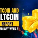 bitcoin and altcoin report february week 3