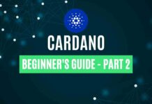 cardano review