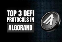 top 3 defi protocols in algorand