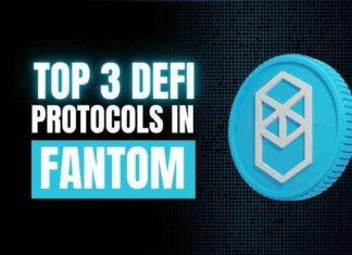 Top 3 DeFi Protocols in Fantom