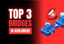 Top 3 bridges for Avalanche