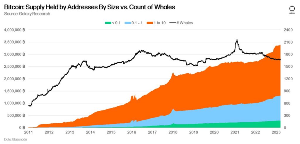 Bitcoin whale holdings