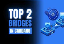 Top 2 Bridges for Cardano (ADA)