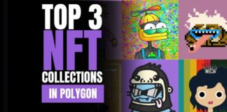 Top 3 NFT Collections in Polygon