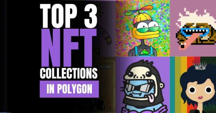 Top 3 NFT Collections in Polygon