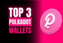 Top 3 Polkadot Wallets