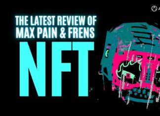 MAX PAIN and Frens NFT Collection by XCOPY Review