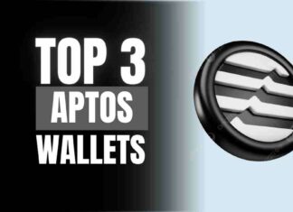 Top 3 Wallets in Aptos