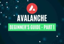 Avalanche Beginner's Guide – Part 1
