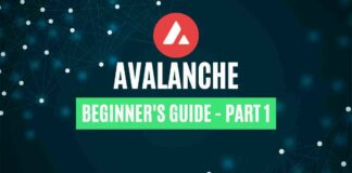 Avalanche Beginner's Guide – Part 1