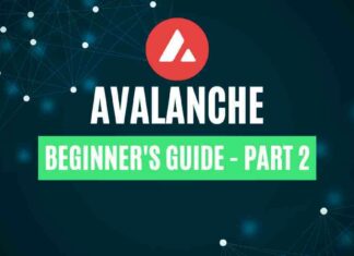 Avalanche Beginner's Guide – Part 2