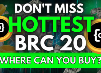 Dont Miss the HOTTEST BRC20