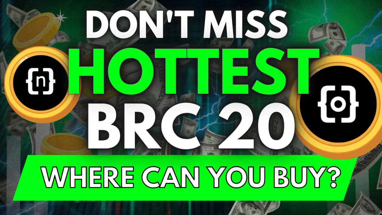 Dont Miss the HOTTEST BRC-20 Tokens to Hold Now
