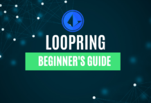 A Beginner's Guide to the Loopring