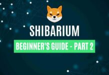 shibarium guide part 2