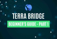 terra bridge guide