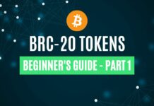 BRC-20 tokens guide