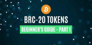 BRC-20 tokens guide