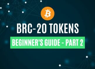 BRC-20 token review
