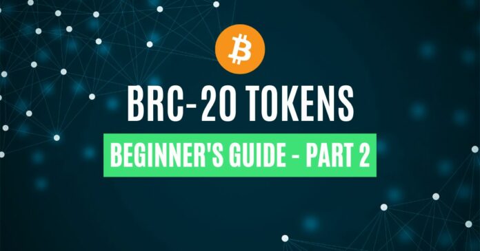 BRC-20 token review
