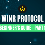 winr protocol review
