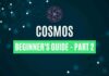 Cosmos Beginner's Guide – Part 2