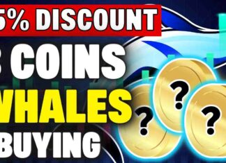Crypto Whales ACCUMULATING These 3 Altcoins | 65% Discounts!