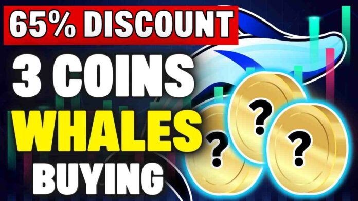 Crypto Whales ACCUMULATING These 3 Altcoins | 65% Discounts!