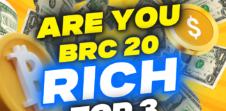 BRC-20 review