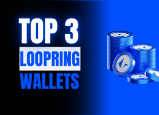 top 3 loopring wallets