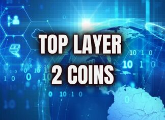 top layer 2 coins