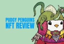 Lil Pudgys NFT Collection Review