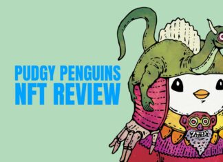 Lil Pudgys NFT Collection Review