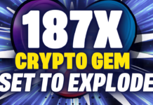 INSANE POTENTIAL - 187X Crypto Altcoin Gem