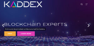 kaddex exchange review