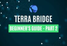 Terra Bridge Beginner’s Guide – Part 2