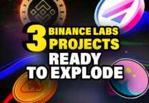 3 binance labs projects ready to explode