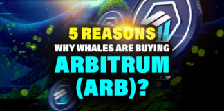 5 Reasons why Whales are Buying Arbitrum (ARB)