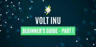 volt inu guide part 1
