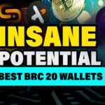 INSANE POTENTIAL BRC 20 Tokens Best Wallets