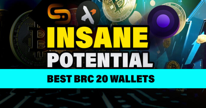 INSANE POTENTIAL BRC 20 Tokens Best Wallets