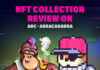 abracadabra NFT collection review