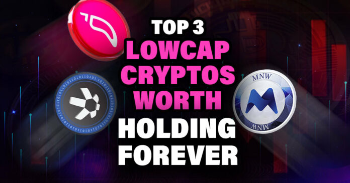 Top 3 Lowcap Cryptos Worth Holding Forever