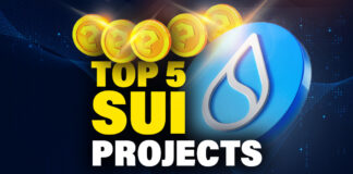 Top 5 sui projects
