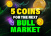 5 coins worth holding for the next bull market